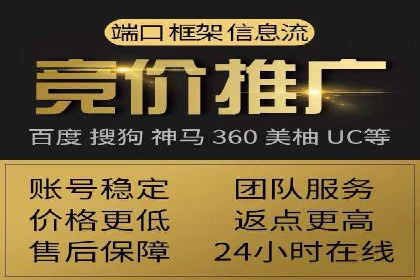 百度竞价排名机制：成功案例与策略探讨