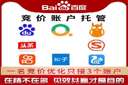 某某sem推广公司实战案例：精准投放提升转化率