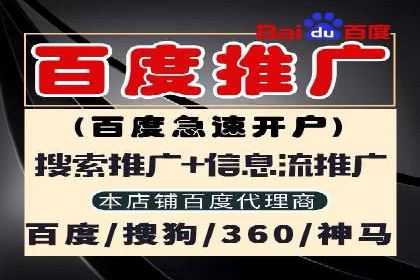 竞价推广实战：成功案例背后的技巧揭秘